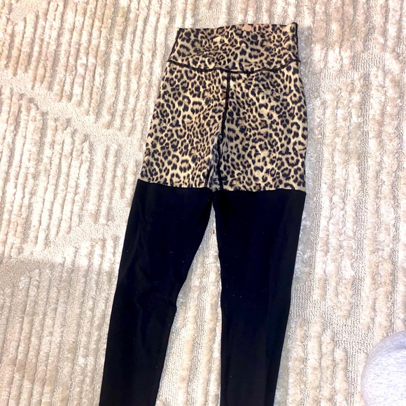 MUSCLE NATION - Picture 8 of 8